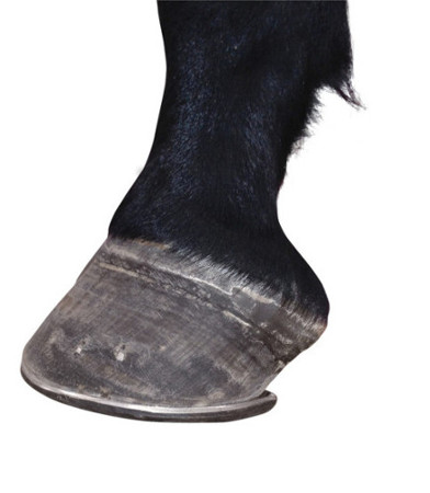 After image hoof