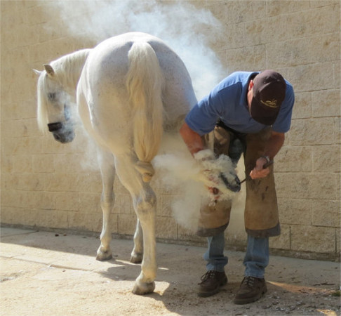 Shoeing in Spain