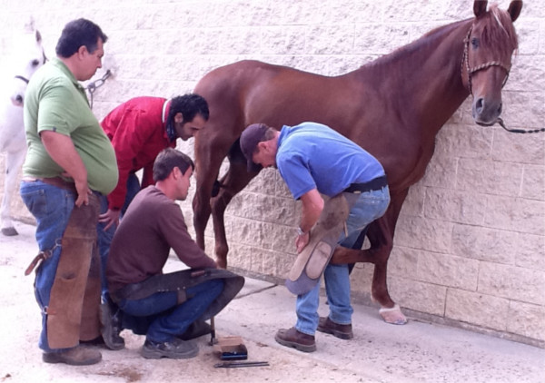 Shoeing in Spain